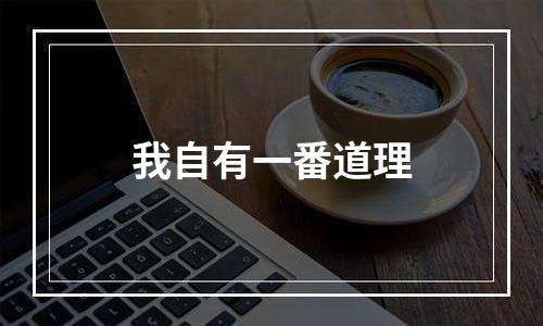 我自有一番道理
