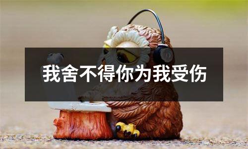 我舍不得你为我受伤