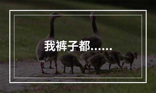 我裤子都......