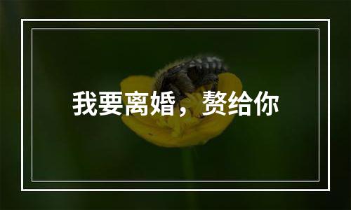 我要离婚，赘给你