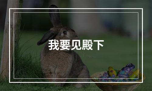我要见殿下