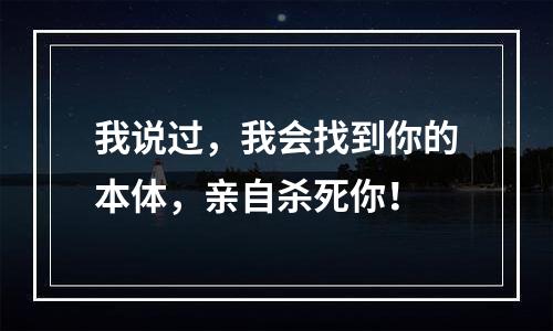 我说过，我会找到你的本体，亲自杀死你！