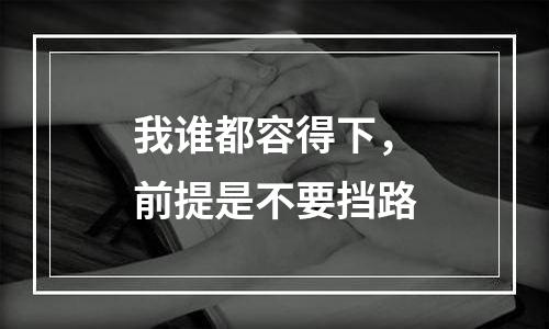 我谁都容得下，前提是不要挡路