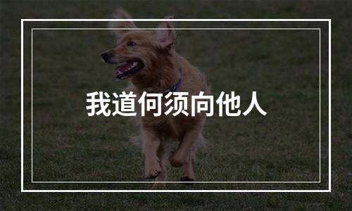 我道何须向他人