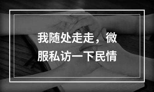 我随处走走，微服私访一下民情