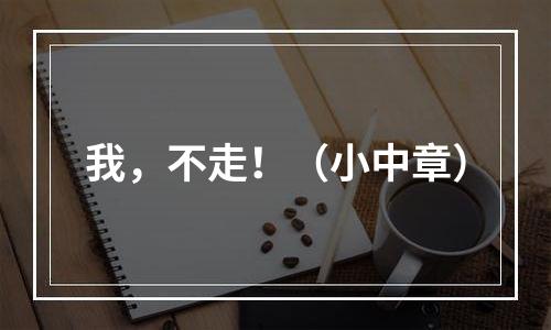 我，不走！（小中章）