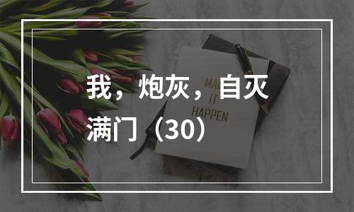 我，炮灰，自灭满门（30）