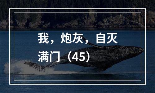 我，炮灰，自灭满门（45）