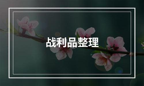 战利品整理