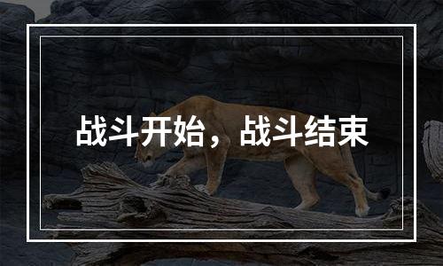 战斗开始，战斗结束