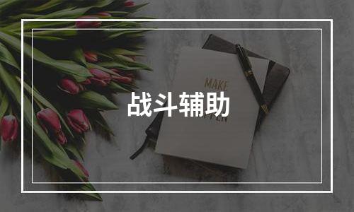 战斗辅助