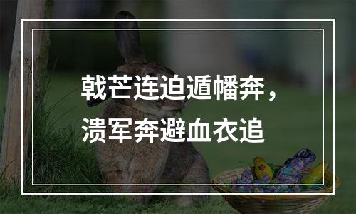 戟芒连迫遁幡奔，溃军奔避血衣追