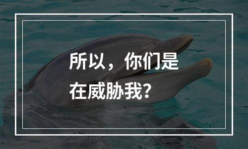 所以，你们是在威胁我？