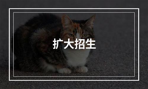 扩大招生