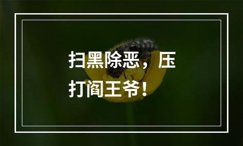 扫黑除恶，压打阎王爷！