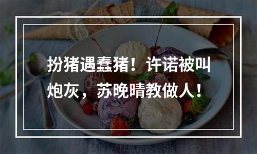 扮猪遇蠢猪！许诺被叫炮灰，苏晚晴教做人！