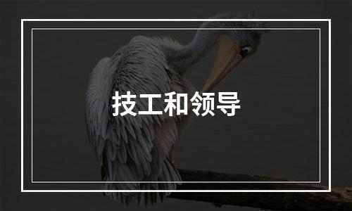 技工和领导