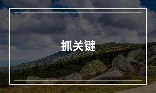 抓关键