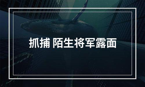 抓捕 陌生将军露面