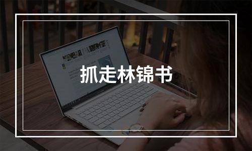 抓走林锦书