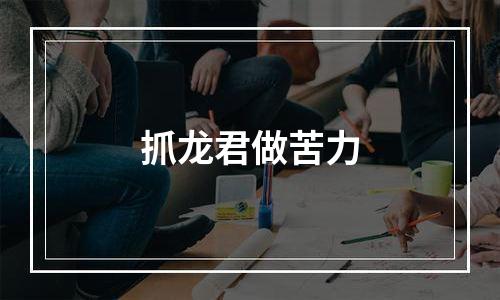 抓龙君做苦力