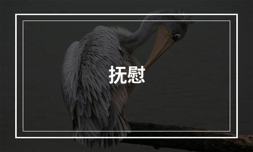 抚慰
