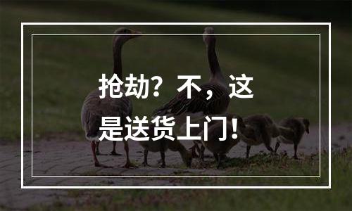 抢劫？不，这是送货上门！