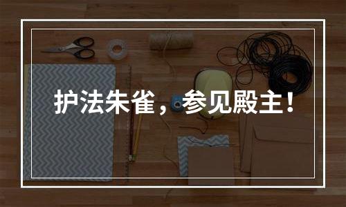 护法朱雀，参见殿主！