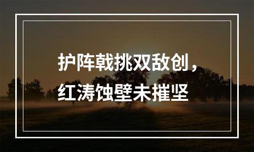 护阵戟挑双敌创，红涛蚀壁未摧坚