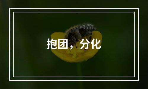 抱团，分化