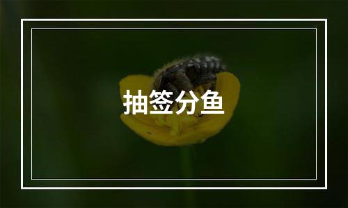 抽签分鱼