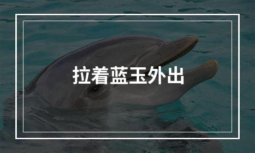 拉着蓝玉外出