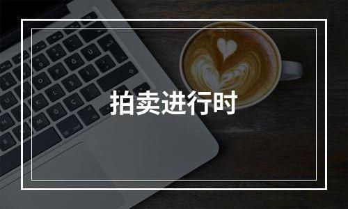 拍卖进行时