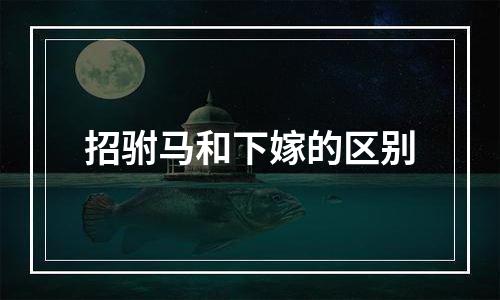 招驸马和下嫁的区别