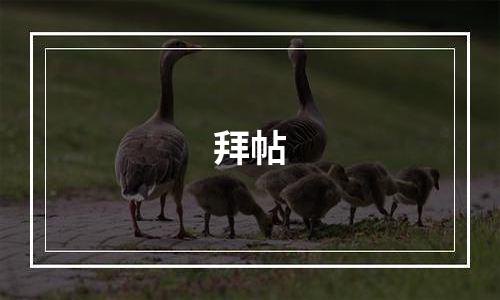 拜帖