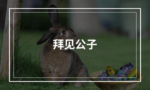 拜见公子