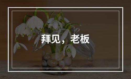 拜见，老板