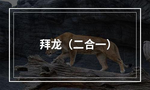 拜龙（二合一）