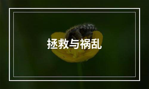 拯救与祸乱