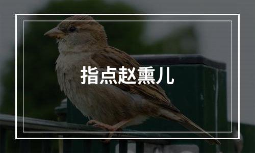 指点赵熏儿