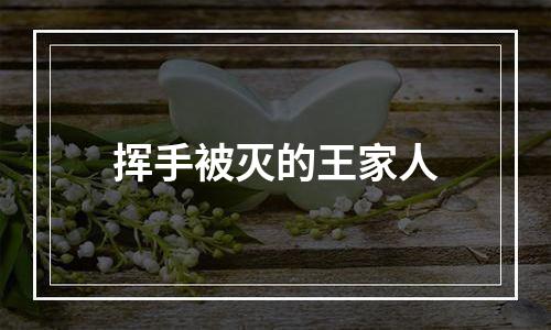 挥手被灭的王家人