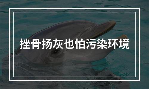 挫骨扬灰也怕污染环境