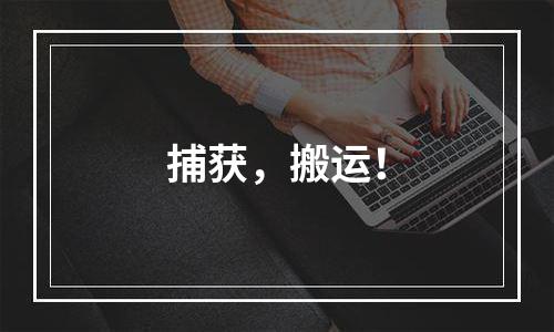 捕获，搬运！