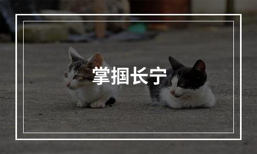 掌掴长宁