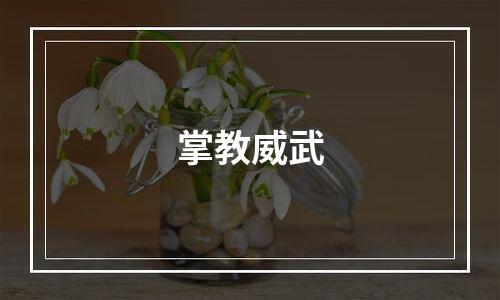 掌教威武
