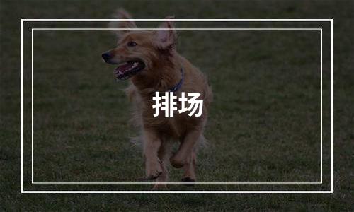 排场