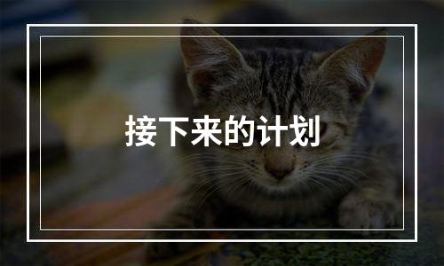 接下来的计划