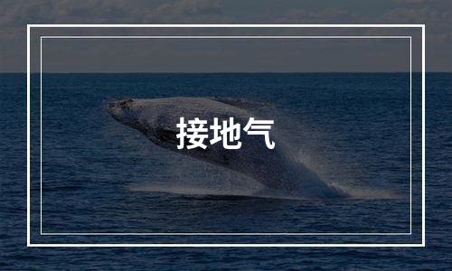 接地气