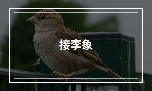 接李象