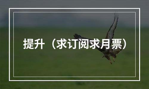 提升（求订阅求月票）